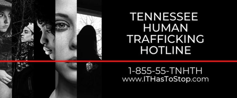 Eight People Arrested During Joint Human Trafficking Operation in ...