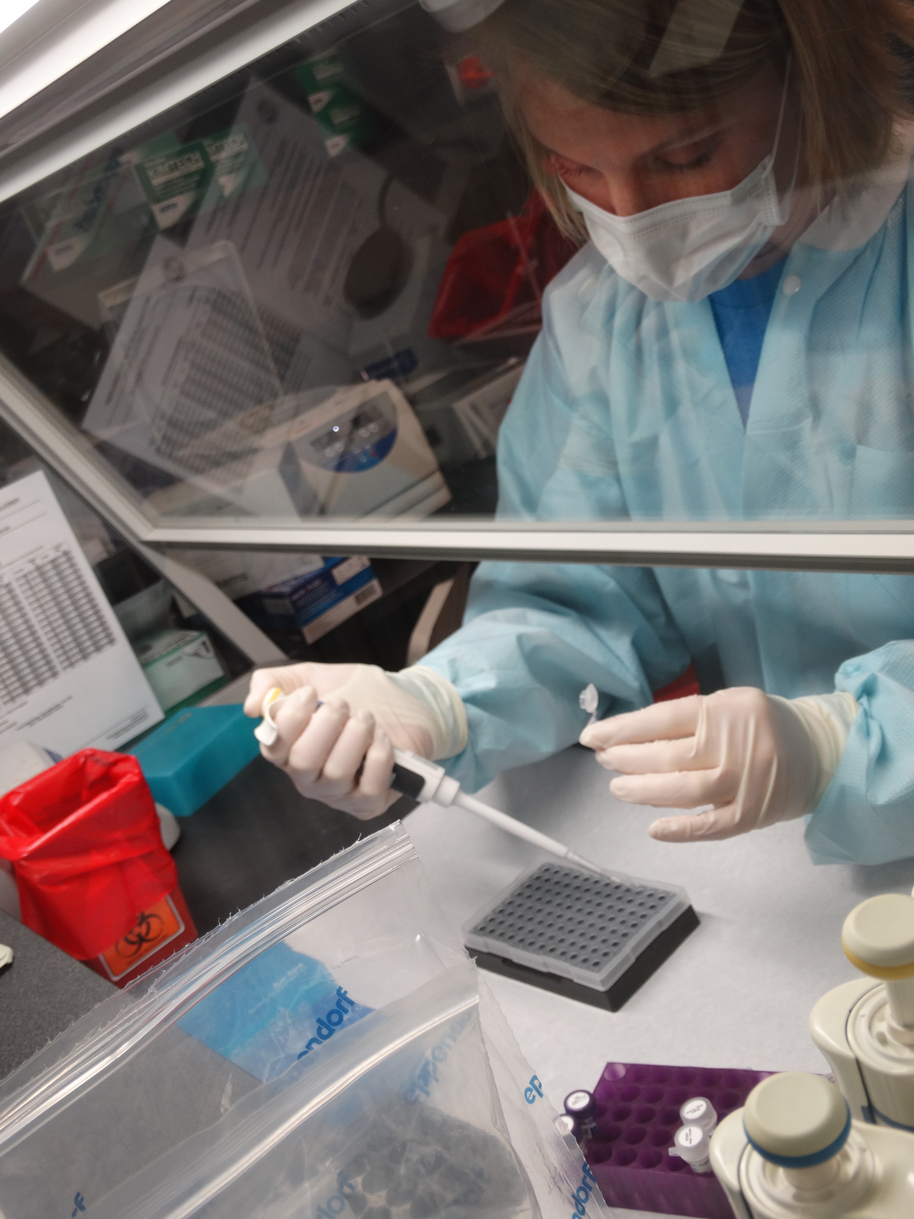 TBI Knoxville Laboratory Recognized Among Top Forensic Laboratories Worldwide